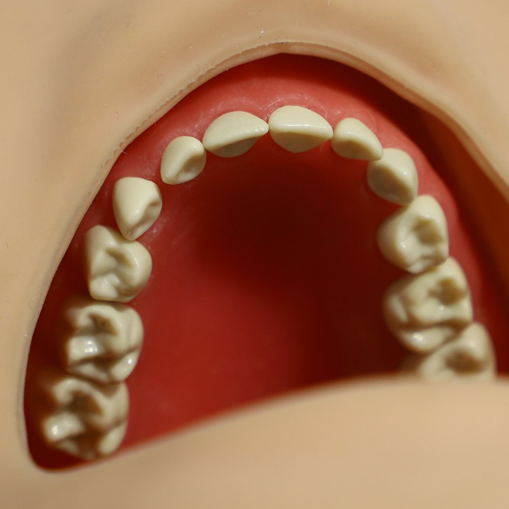 Plain Teeth